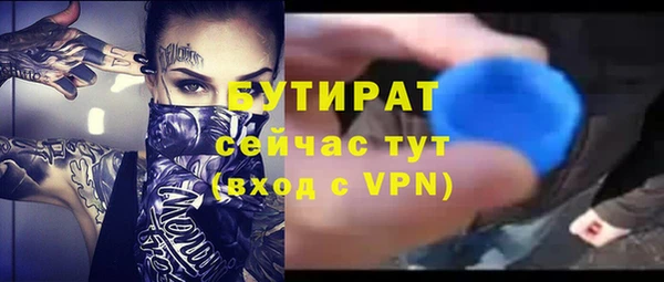 хмурый Верея