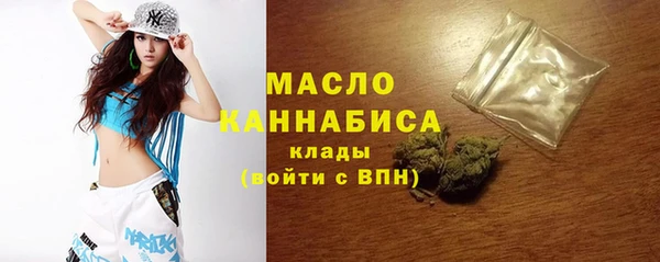 хмурый Верея