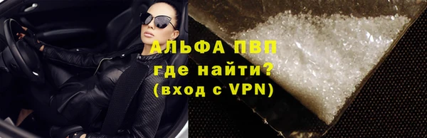 хмурый Верея
