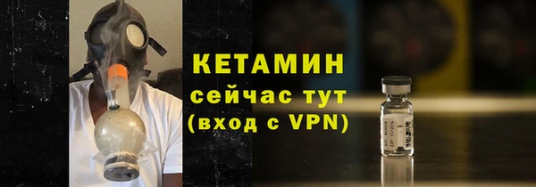 хмурый Верея