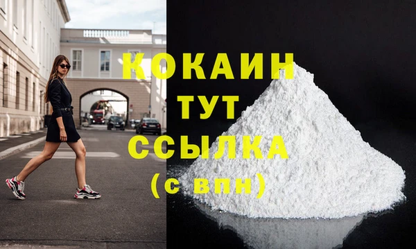 хмурый Верея
