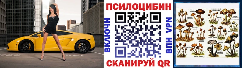 продажа наркотиков Альметьевск Галлюциногенные грибы ЛСД